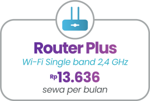 addon-Packages-JUN21-inet2-300x201
