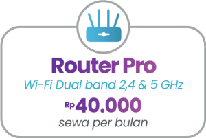 addon-Packages-JUN21-inet3-300x201